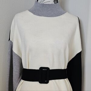 Muse Cream and Gray Colorblock Turtleneck Sweater with Black Belt